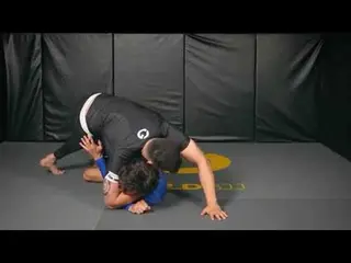 3 no Gi passes