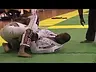 Ronaldo “Jacaré” Souza Before They Were Kings Jiu-Jitsu Brown Belt Match
