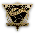 MPR Endurance logo