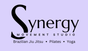 Muskoka Synergy BJJ logo