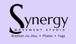 Muskoka Synergy BJJ logo