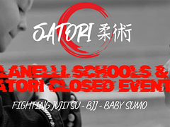 Llanelli Schools & Satori Closed Event - NOVEMBER 2025