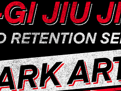 Art Of Entanglement Belt Promotion Tournament 2025