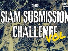 SIAM Submission Challenge Vol.9