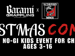 Christmas Combat