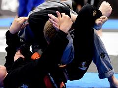 TOKON CUP Gi , NO Gi .