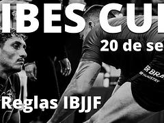 VIBES CUP NO GI