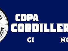Copa Cordillerana