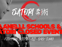 Llanelli Schools & Satori Closed Event - February 2026