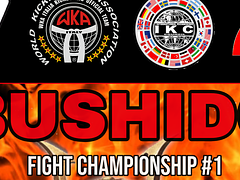 2° TAPPA UFFICIALE WKA – ITALIA CAMPIONATO ITALIANO CENTRO – SUD
