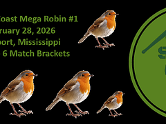 Steel Coast Mega Robin #1