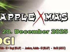 XIII. GrappleXmas BJJ Cup