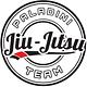 Paladini Team logo