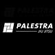 Palestra Jiu-Jitsu logo