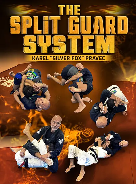 The Split Guard System by Karel "Silver Fox" Pravec