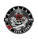 Raça Luta BJJ logo