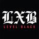 Level Black logo
