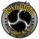 Revolution BJJ logo