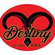 Destiny Health & MMA logo