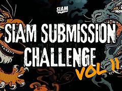 SIAM Submission Challenge Vol.11