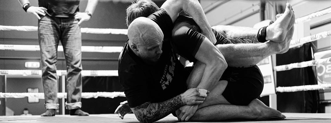 Hvítur á Leik (Nogi) 2026