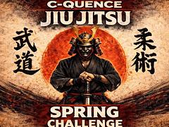 C-Quence Spring Challenge