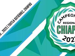Campeonato Regional del Sur