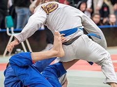 Haninge Bjj Open- Fall 2023