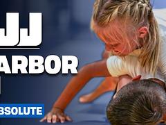 Ann Arbor Open