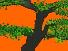 Dartford Karate Open - Bonsai