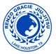 Renzo Gracie Lake Houston logo