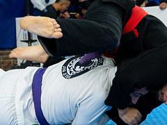 MEDELLIN PRO 2 BJJ