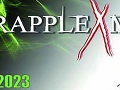 XI. GrappleXmas BJJ Cup