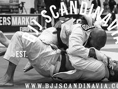 Bjj Scandinavia Open 2024