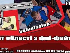 Відкритий чемпіонат області з Free - Fight