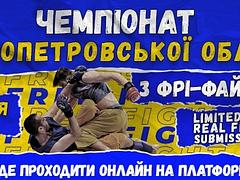 Чемпіонат Дніпропетровської області з ФРІ-ФАЙТУ