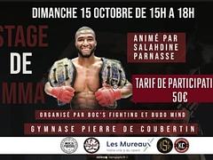 STAGE DE MMA AVEC SALAHDINE PARNASSE - 2EME ETAPE DU TOUR DE FRANCE LE 15 OCTOBRE 2023 AUX MUREAUX