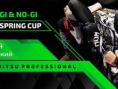 Ukraine BJJ Pro Spring Cup 2024