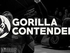 Gorilla Contenders