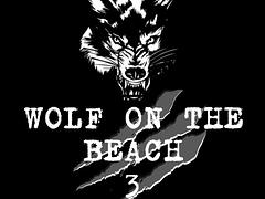 Wolf Grappling On The Beach #3