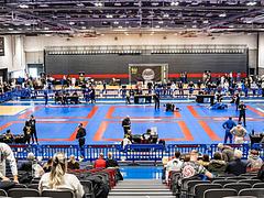 BJJ247 Manchester Open 2024