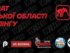 Чемпіонат Волинської області з Грепплінгу