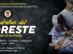 Batallas del Noreste