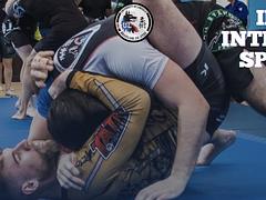 Irish BJJ Intervarsity Spring 2024