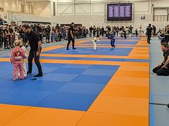 Lion Cub Jiu Jitsu Competition 2