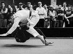 Stockholm BJJ Open Spring Edition 2024 - Adult, Master, Juvenile