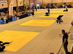 Sande BJJ-cup 13. april 2024
