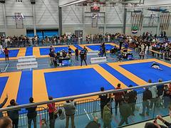 Lion Cub Jiu Jitsu Competition 3