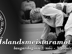 Íslandsmeistaramót Gi Fullorðinna 2024