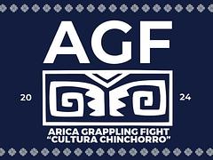 Arica Grappling Fight